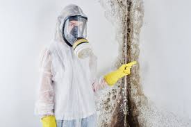 Reliable Huntington Bay, NY Mold Removal Solutions